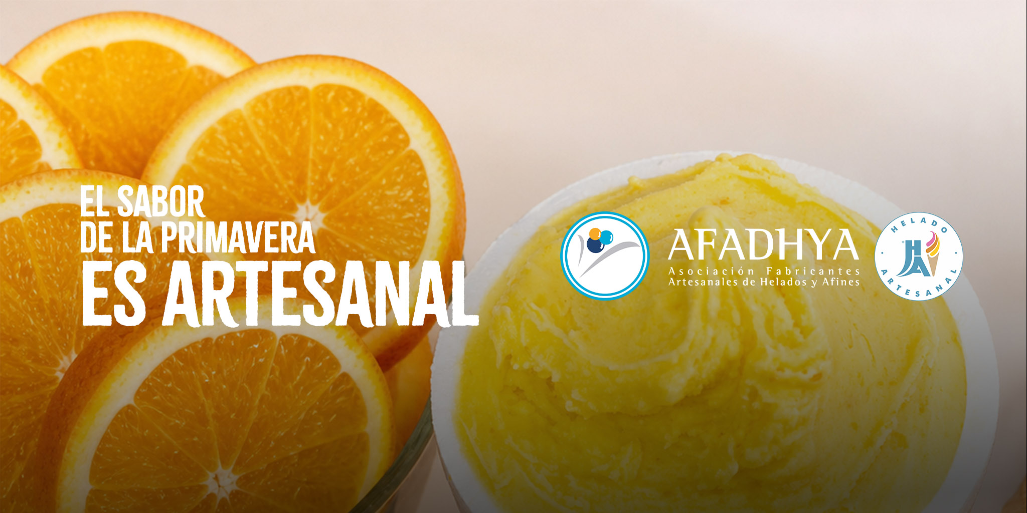 Banner web horizontal